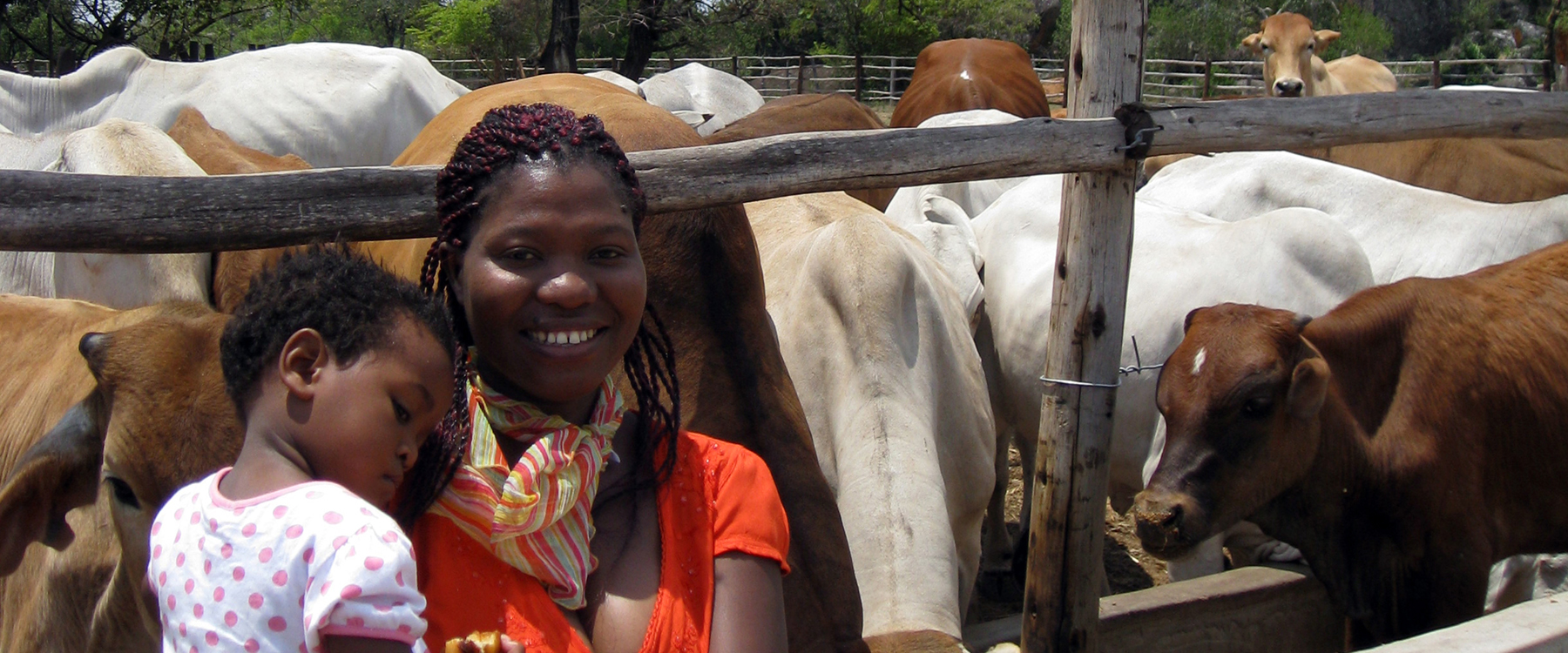 Vrouw die met financiële steun van de Internationale Organisatie voor Migratie (IOM) met haar kinderen is teruggekeerd naar Zimbabwe. Met het geld heeft ze de boerderij van haar familie uitgebreid, met succes. | Foto: Jenniffer Dew | IOM, 2013 Vrouw die met financiële steun van de Internationale Organisatie voor Migratie (IOM) met haar kinderen is teruggekeerd naar Zimbabwe. Met het geld heeft ze de boerderij van haar familie uitgebreid, met succes. | Foto: Jenniffer Dew | IOM, 2013