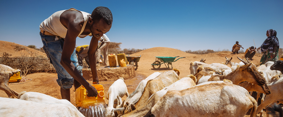 Verwoestende droogte in Somalië waardoor ruim 600.000 mensen zijn ontheemd. Foto: Internationale Organisatie voor Migratie, 2017