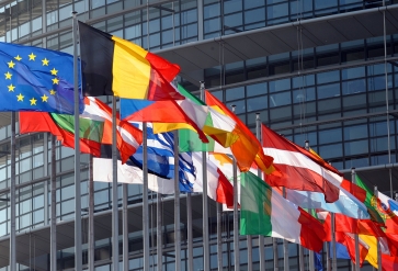 EU flags