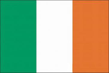 Ireland, National Contact Point to the EMN